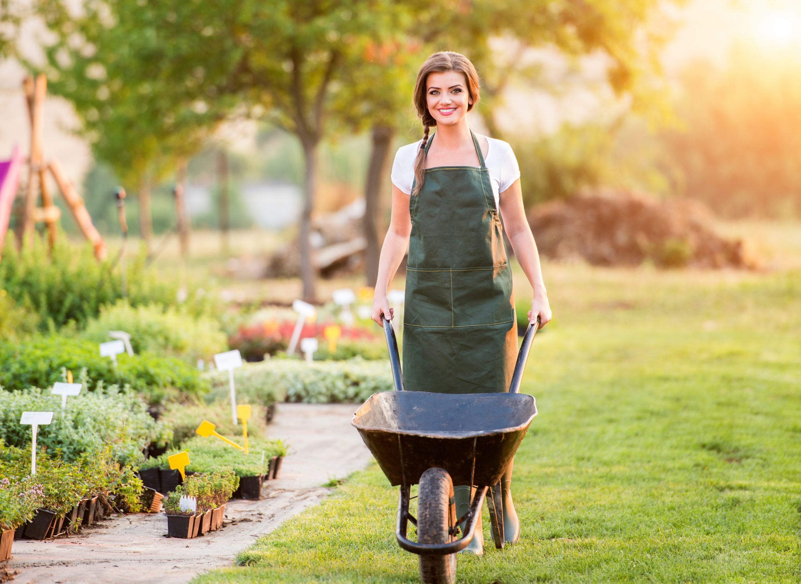 5 Ways to Make Your Yard Look Beautiful