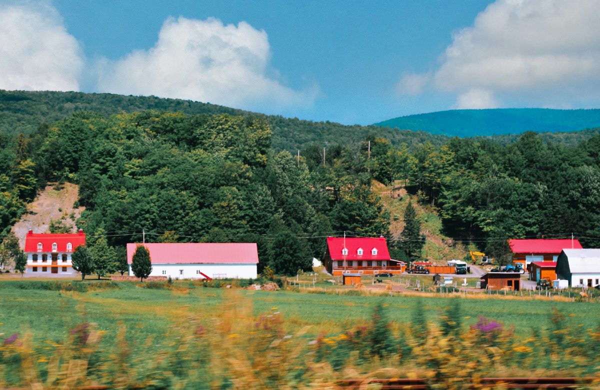 Unlocking the Potential of Rural Canada: Why Entrepreneurs Should Consider the Countryside